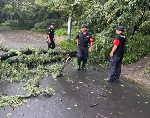 C:/Users/BA/Desktop/風(fēng)雨過后南京保安迅速行動，恢復(fù)安“寧”面貌/7.jpg7